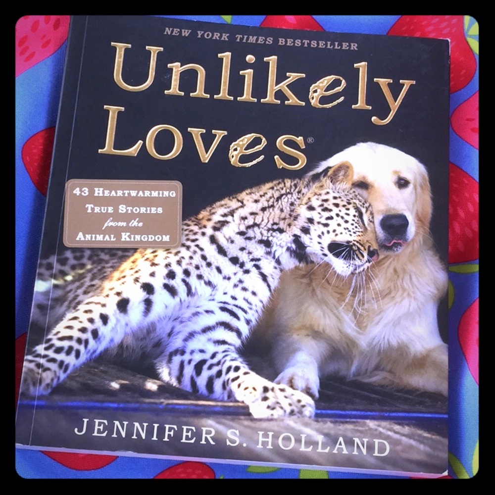 Unlikely Loves